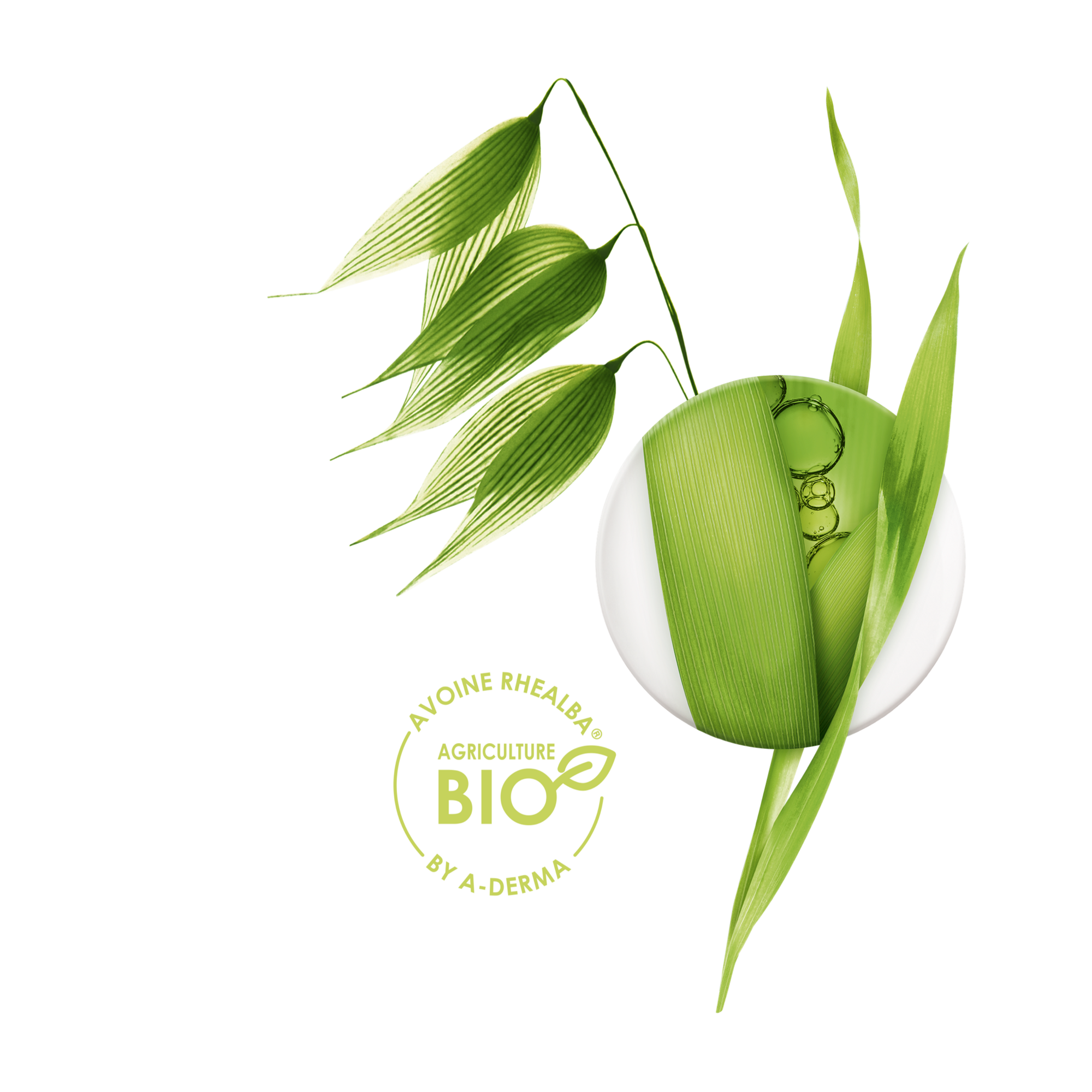 Avena Rhealba® de cultivo orgánico A-DERMA